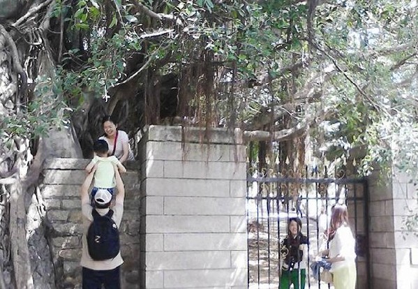 黃金周廈大對外開放 部分奇葩游客仍翻墻進校園