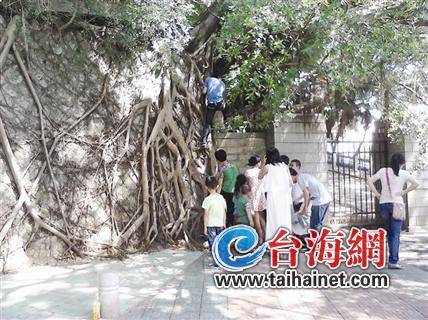 部分奇葩游客仍翻墻進校園