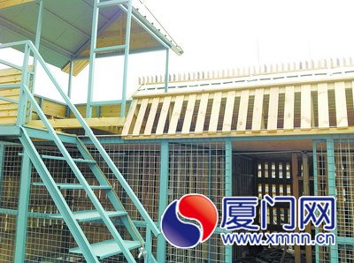 鴿房門被打開，里面的鴿子都不見了