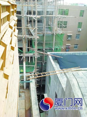 隔壁屋頂一把竹梯“橫渡”到鴿房