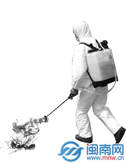 溴甲烷熏蒸可滅紅火蟻