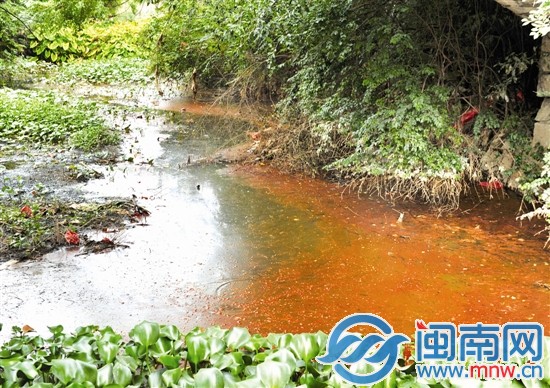 玉田渠水面，水浮蓮叢生，散發(fā)陣陣惡臭