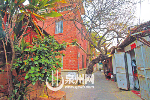 臺魁巷里，落葉如黃金般鋪滿地。