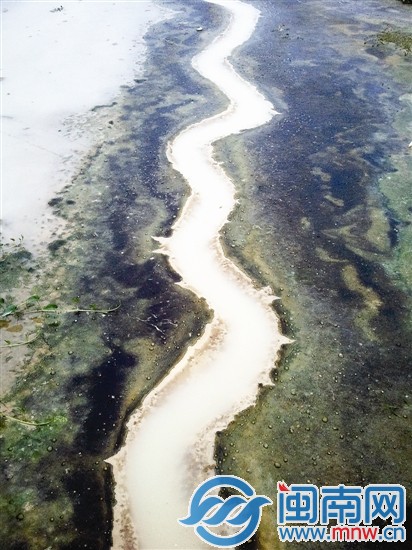 寬闊的河底只剩一股細流，水呈乳白色