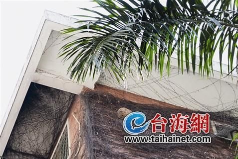 一個小區(qū)三馬蜂窩