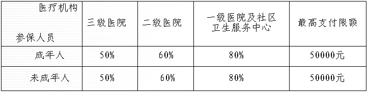 統(tǒng)籌基金支付標準