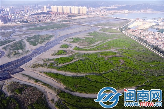 洛陽橋畔如今生態(tài)保護(hù)依然良好