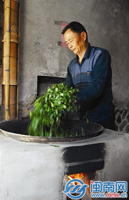 國家級(jí)非遺安溪鐵觀音制作技藝