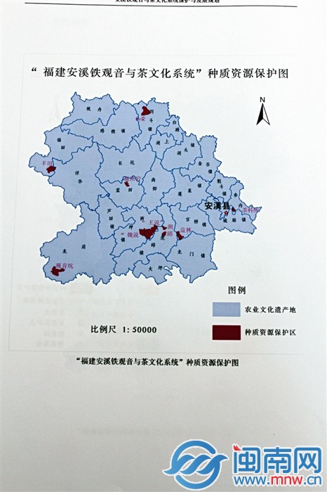 “福建安溪鐵觀音與茶文化系統(tǒng)”種質(zhì)資源保護圖