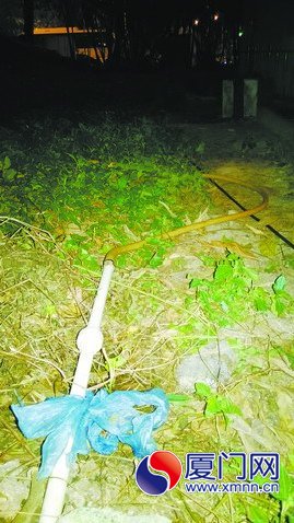 洗車攤的水管連接綠化帶水管