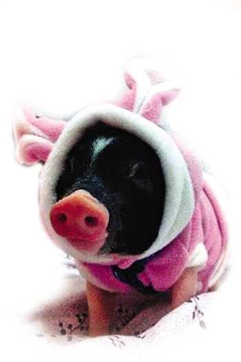 這是我小時(shí)候，超可愛吧