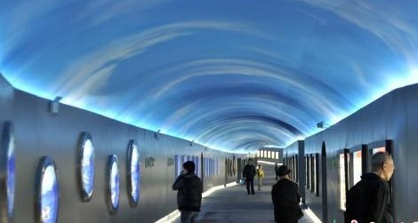 民眾在廈門鴻山隧道參觀1