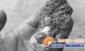 沙子中混有一些貝殼