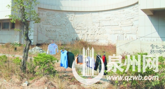鄭成功文化中心邊,綠化樹上晾曬衣服