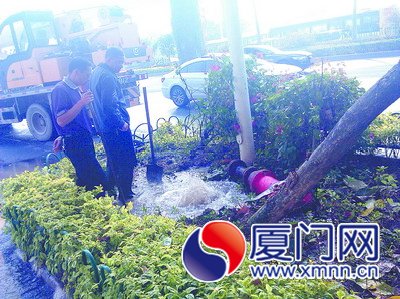 的哥為躲逆行車撞斷消防栓