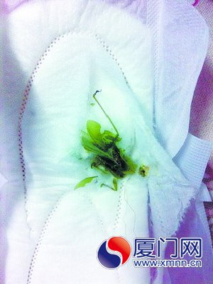 衛(wèi)生巾里暗藏螞蚱，產(chǎn)品真假難辨
