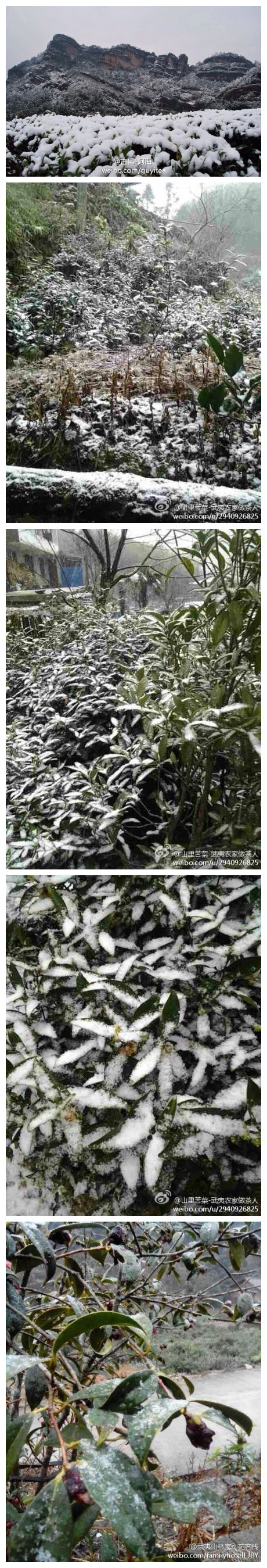 桐木關(guān)下雪