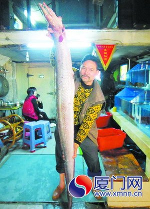 大海鰻,身長2.58米