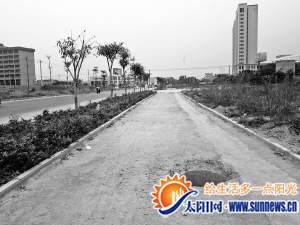 百米長的輔道每隔幾米就有1口井沒井蓋