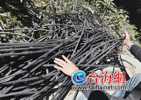 被盜割的電信電纜