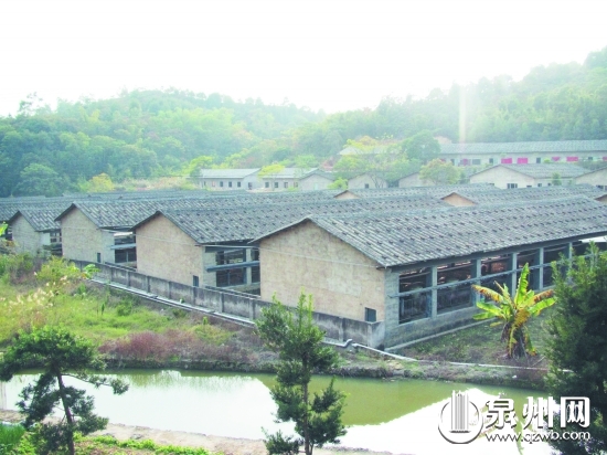 標(biāo)準(zhǔn)化的豬舍經(jīng)過挑高設(shè)計(jì)