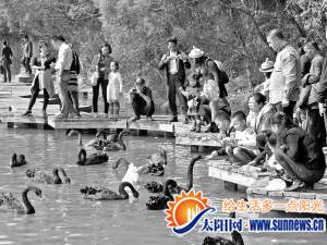 五緣灣濕地公園游玩