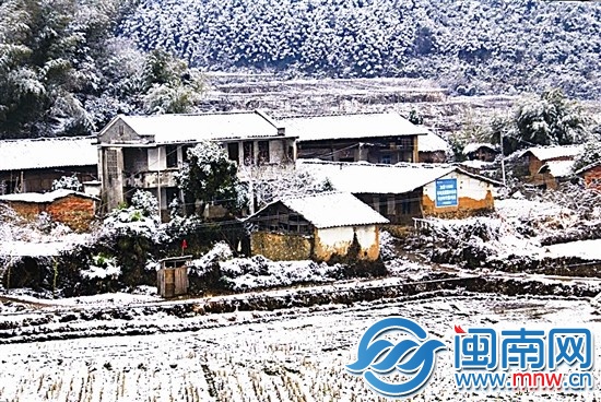 浦城九牧鎮(zhèn)，田間地頭一片白茫茫