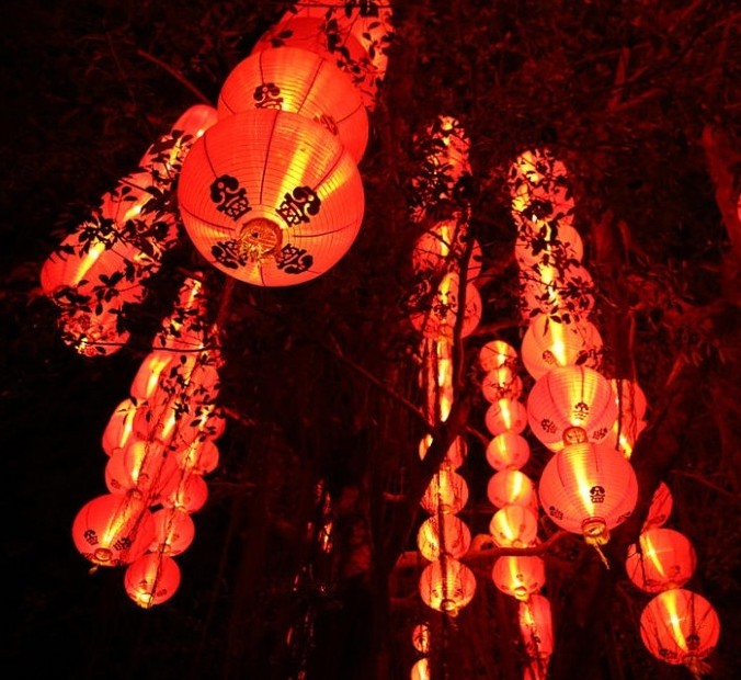 花燈組如柳葉搬垂下