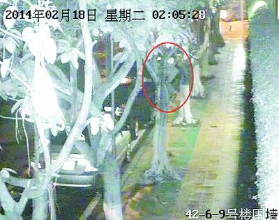 男賊靠近車子盜竊