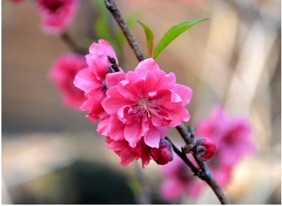 QQ圖片20140226152350