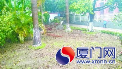 到鼓浪嶼“社區(qū)園圃”認(rèn)養(yǎng)種植1