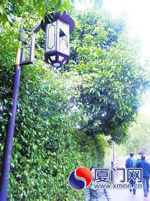 路燈遭到破壞。