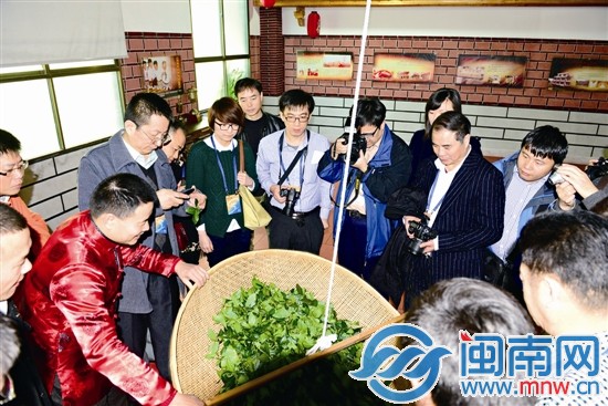 記者觀看安溪鐵觀音傳統(tǒng)制作工藝