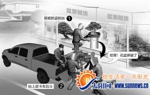 偷盆景示意圖