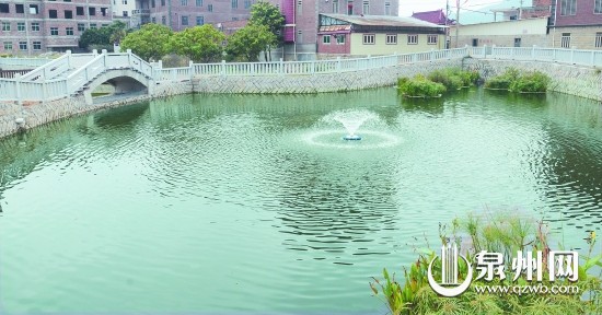 馬甲鎮(zhèn)新民村的氧化塘。