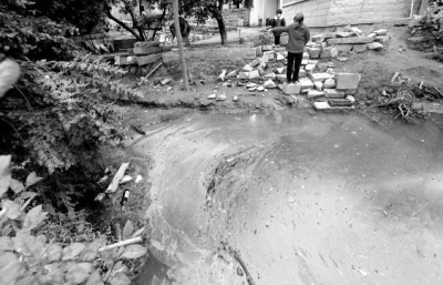 渠面上漂浮著厚厚一層油污