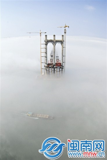 泉州灣跨海大橋展現別樣的風姿（許師偉攝）