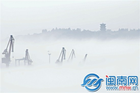 霧中的石獅石湖港碼頭（許師偉攝）