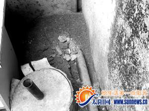 春節(jié)后群鼠“定居”檳榔東里