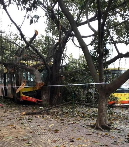 現(xiàn)場(chǎng)