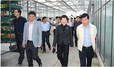 QQ圖片20140410180338