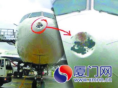 去年6月，國航航班被鳥撞凹機頭。