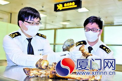 海關(guān)關(guān)員查獲美洲豹皮骨