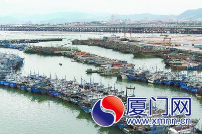 廈門市上千艘漁船伏季休漁期間靠泊休整