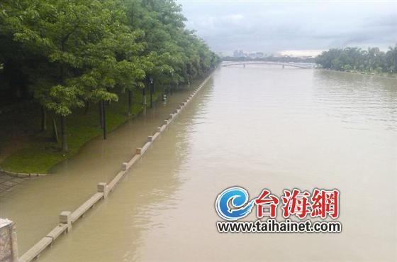 去年大暴雨將筼筜湖灌滿了水