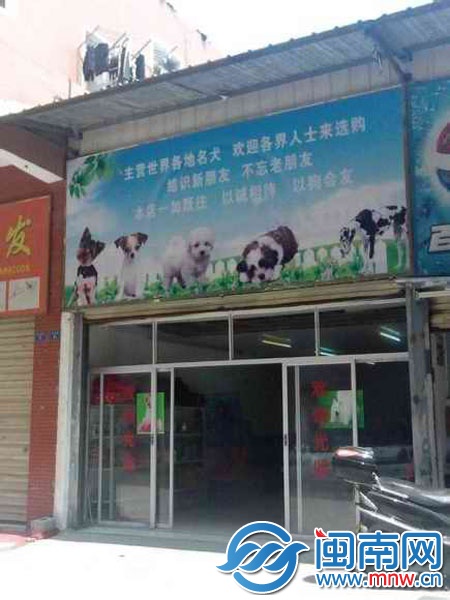 豐澤泉福寵物店店門