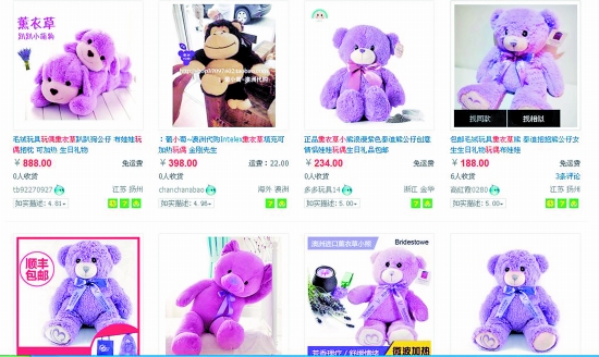 可愛小熊或存蟲害