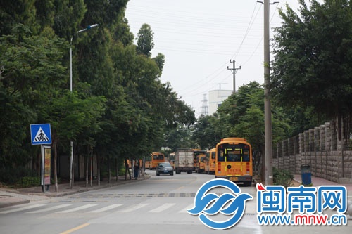 崇文街兩邊的臺灣欒樹