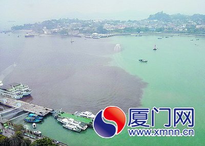 廈門赤潮染紅鷺江