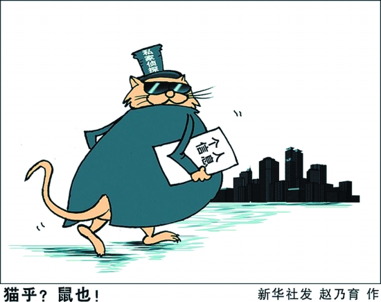 貓乎？鼠也！